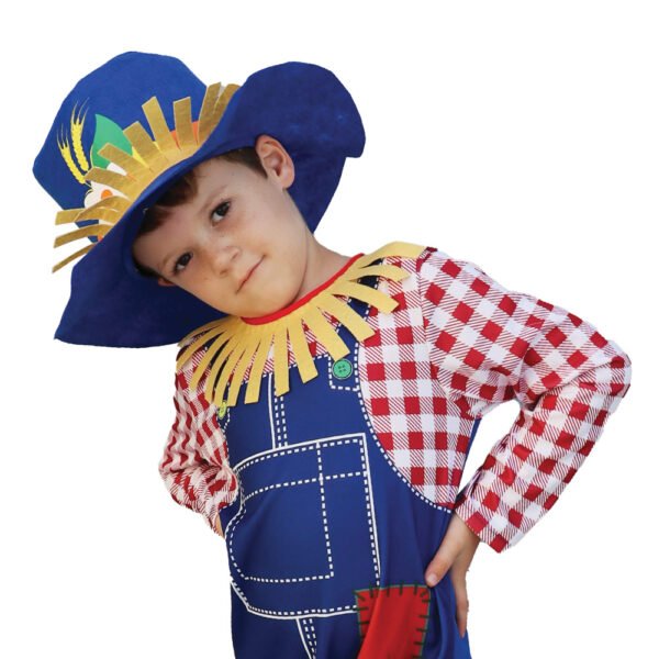 Mad Toys – Scarecrow Boy Book Week Costumes for Kids