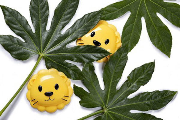 Melii – Snack Container – Lion
