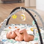 Moon – Perky Baby Playmat And Activity Gym