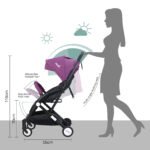 Moon – Travel-Lite Cabin Stroller – Purple