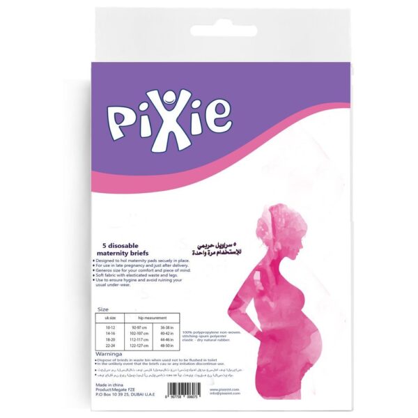 Pixie – Disposable Maternity Brief Size 10-12 Pack Of 2