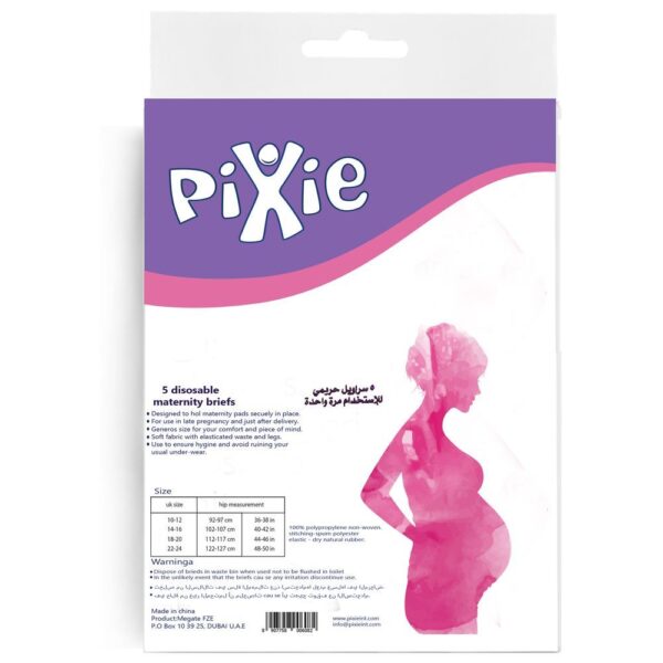 Pixie – Disposable Maternity Brief Size 18-20 Pack Of 2