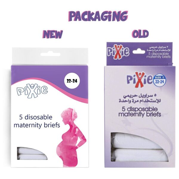 Pixie – Disposable Maternity Brief Size 22-24 Pack Of 2