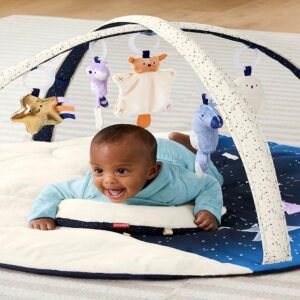 Skip Hop - Celestial Dreams Activity Gym