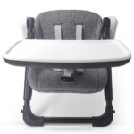 Teknum 3-IN-1 Kids Foldable Dining Booster Chair – Grey