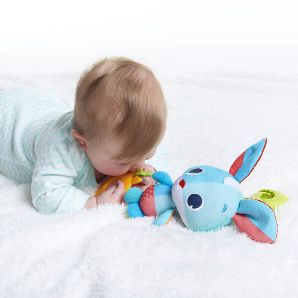 Tiny Love – Thomas The Rabbit Jitter – Meadow Days