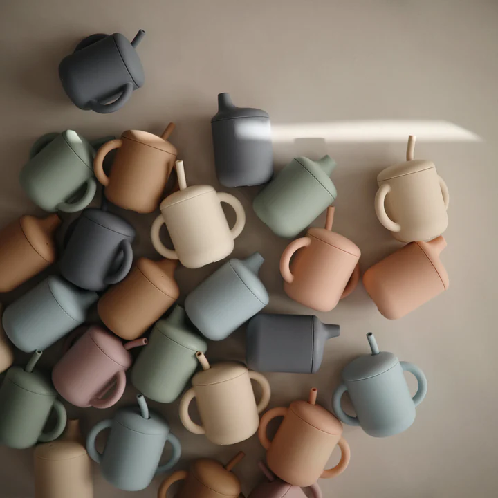 Mushie - Silicone Sippy Cup Tradewinds