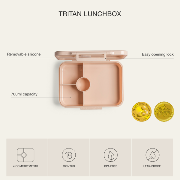 Citron – Rectangle Lunchbox Vehicles