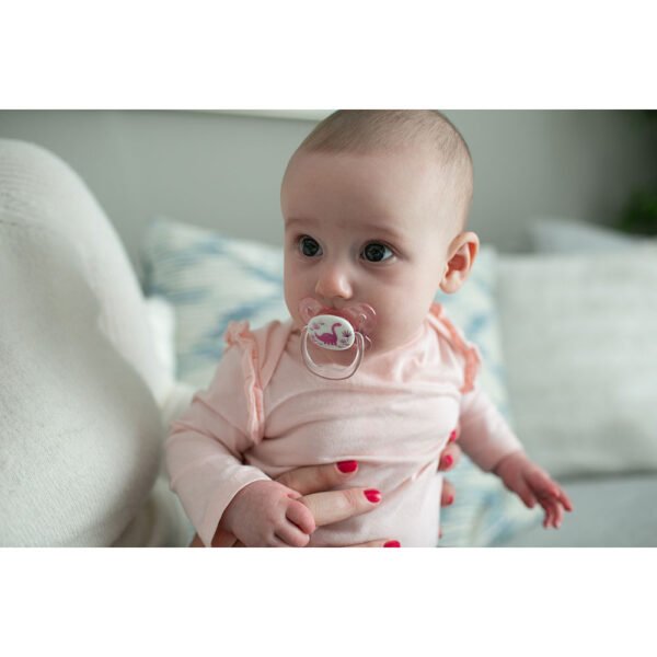 Dr. Browns – Prevent Butterfly Shield Soother – Stage 1 – Pink (Pack of 2)