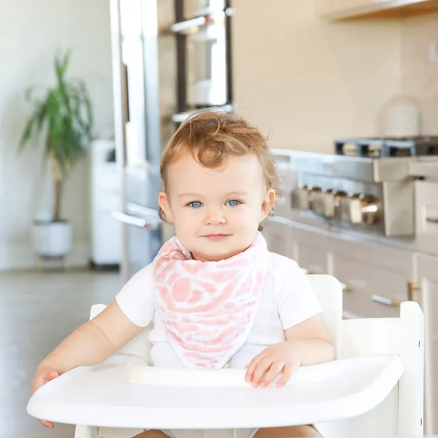 Aden + Anais - Essentials Baby Bandana Bib - Pack of 2 - Tropicalia