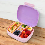 Hydrobrew – Smart Serve Bento Lunch Box 1100 ml, 5 compartment- Lilac Blush