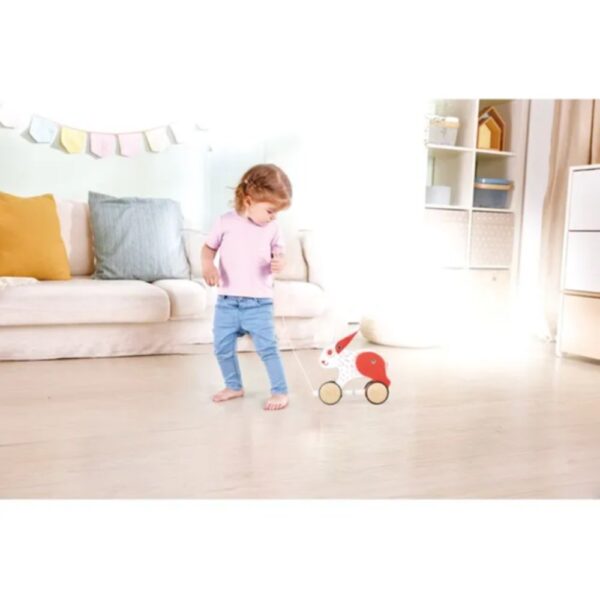 Hape – Push and Pull Bunny Wooden Pull Along Toy