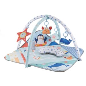 Chicco – First Dreams Enjoy Colors Baby Gym 0m+ Blue