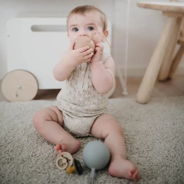 Mushie – Pacifier Case Cambridge Blue