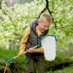 Hape – Butterfly Net