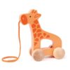 Hape – Giraffe-Themed Push & Pull Along Toy