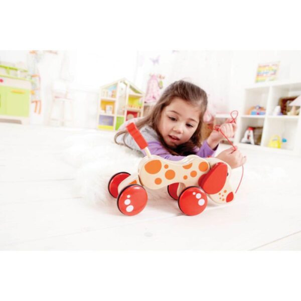 Hape – Walk-A-Long Puppy/Fsc