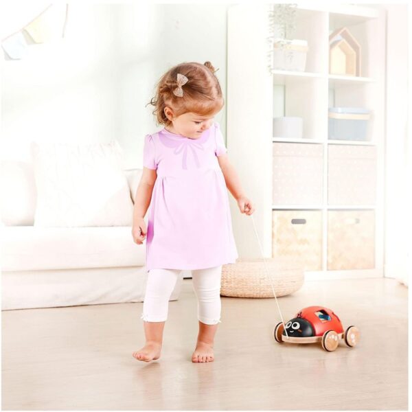 Hape – Wooden Ladybug-Themed Push and Pull-Along Toy