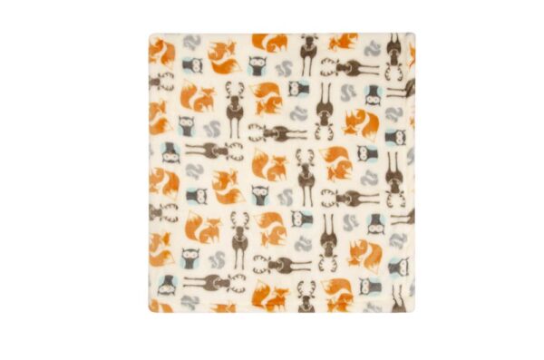 Hudson Childrenswear – Blanket 2Pc And Security Blanket – Multicolor
