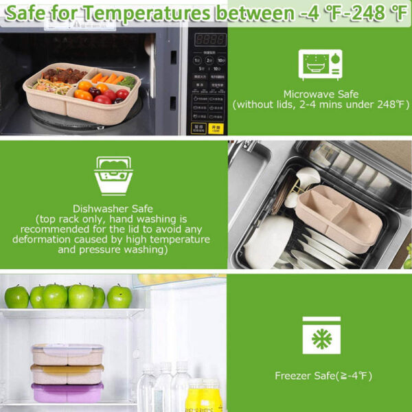 Jeopace – Bento Box Lunch Container – Green