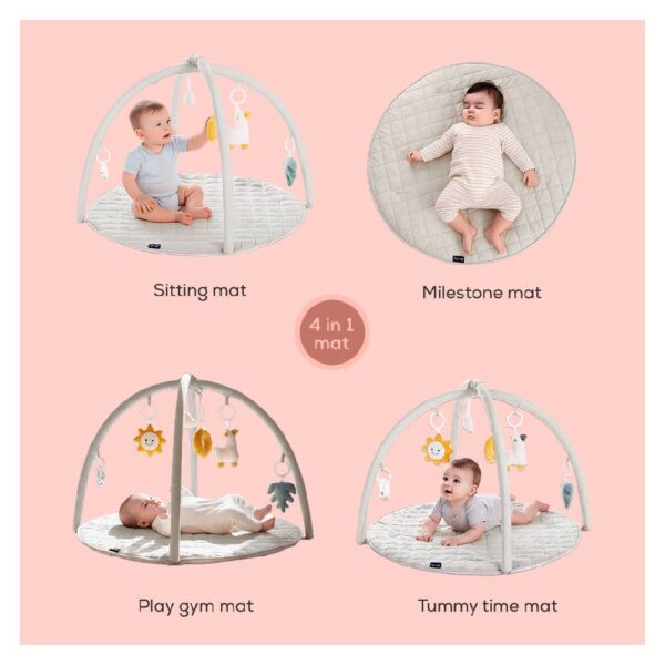 Little Story – Baby Play Mat/Activity Gym – Grey