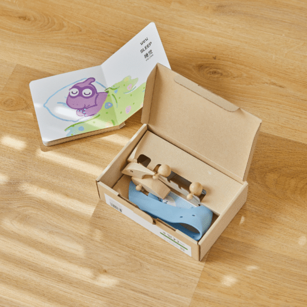 Plan Toys – D.I.Y – Pterodactyls