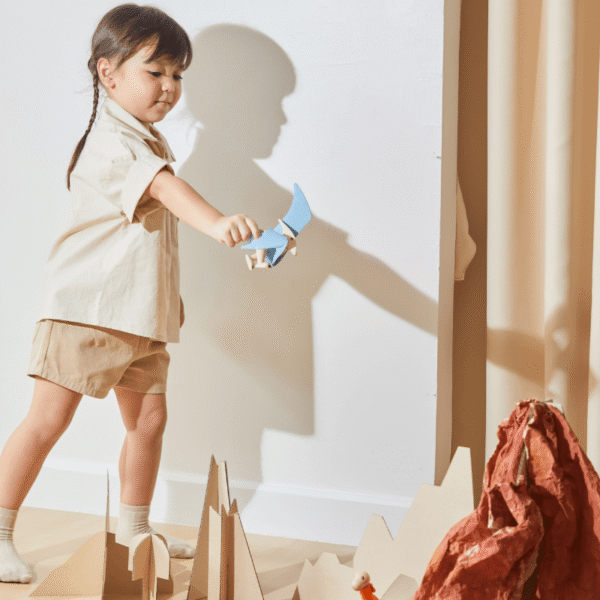 Plan Toys – D.I.Y – Pterodactyls