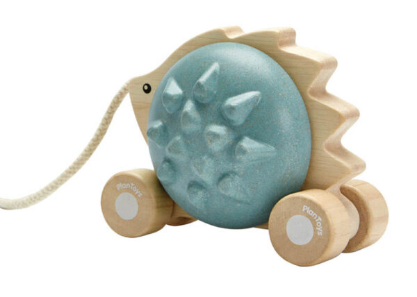 Plan Toys – Pull – Along Hedgehog – Blue