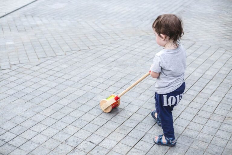 Plantoys - Wooden Walk N Roll