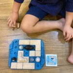 PlanToys – Finding Penguin Game