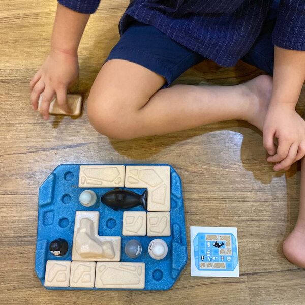 PlanToys – Finding Penguin Game