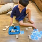PlanToys – Finding Penguin Game