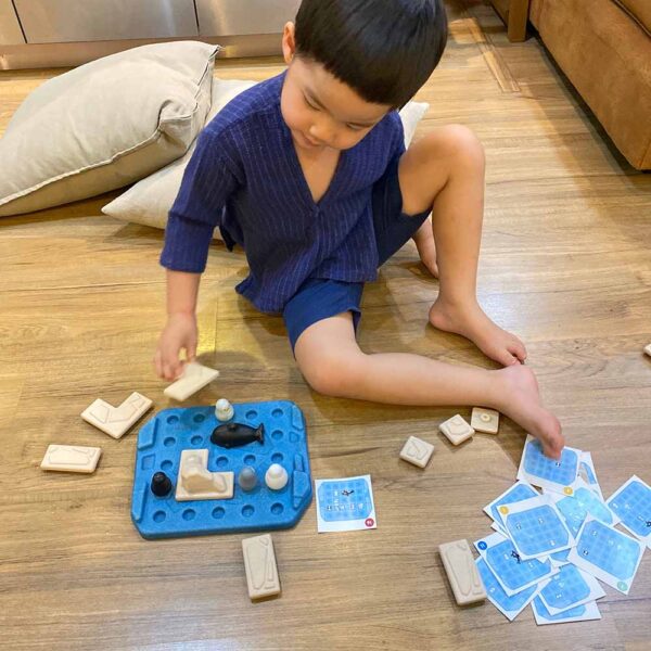 PlanToys – Finding Penguin Game