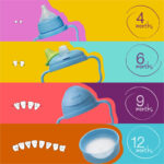 B. Box Transition Value Pack – Ocean