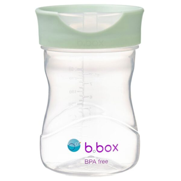 B. Box Training Cup – Sage
