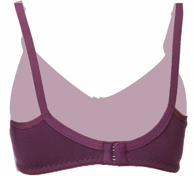 Tummy – Women’s Cottom Maternity & Nursing Bra – Pack Of 2 – 40