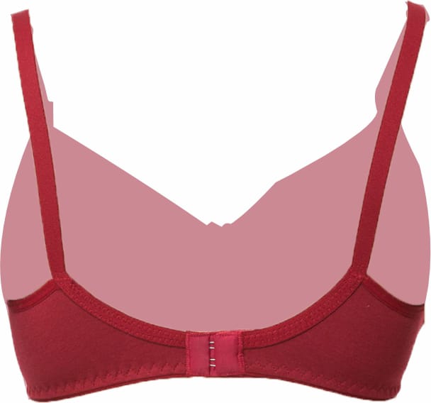 Tummy – Women’s Cottom Maternity & Nursing Bra – Pack Of 2 – 40
