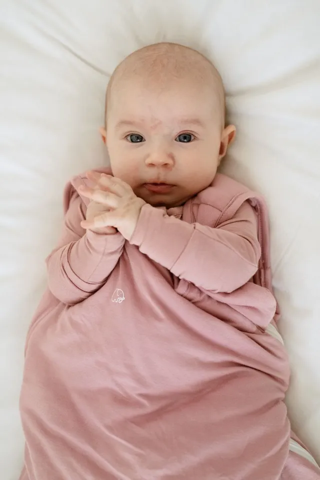 Anvi Baby – Organic Bamboo Sleeping Bag – Lilac