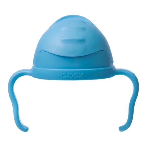 B. Box Sippy Cup Blueberry
