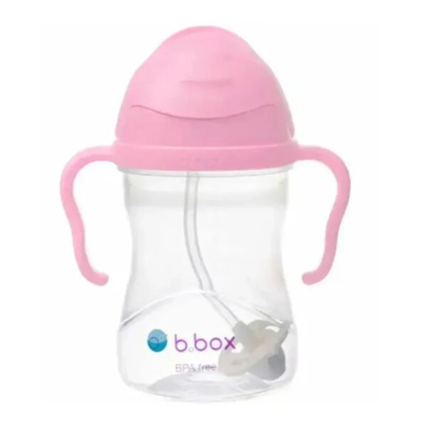 B. Box Sippy Cup – cherry blossom
