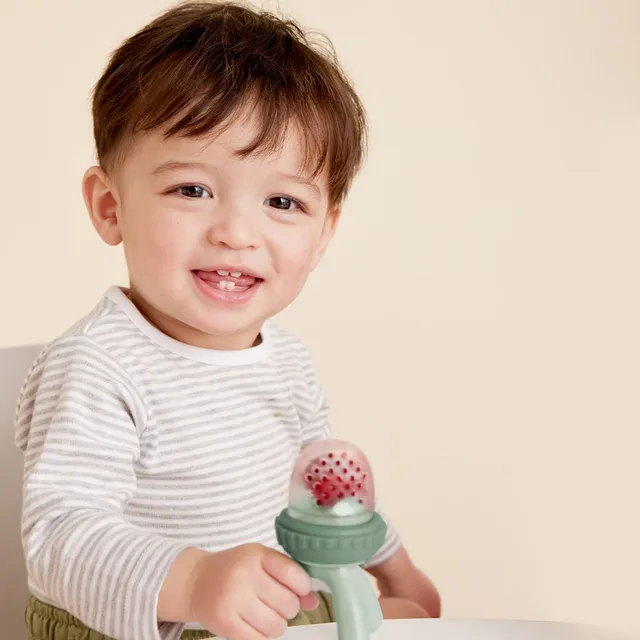 B. Box Silicone Fresh Food Feeder - Sage