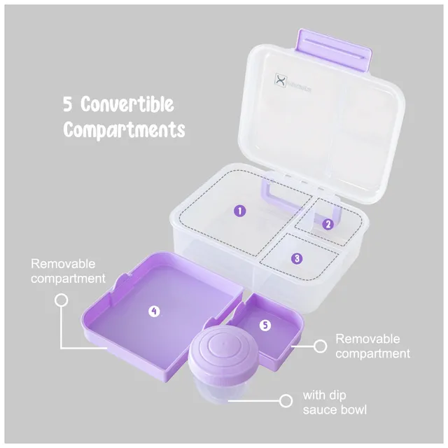 Hydrobrew – 5 Compartment Bento Lunch Box & Stainless Steel Water Bottle – Purple – 500 ml