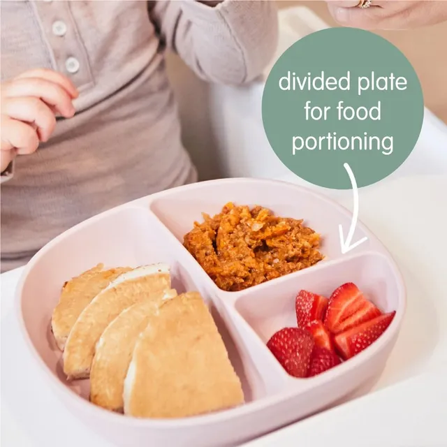 B. Box Silicone Plate + Lid - Ocean