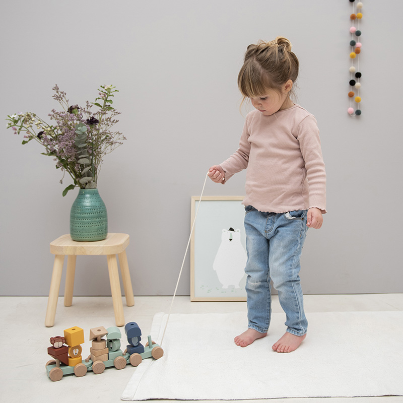 Trixie – Wooden Animal Train