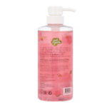 Just Gentle – Purifying Hand Wash – Rose Water