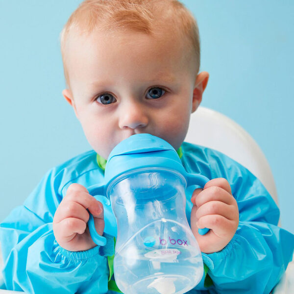 B. Box Sippy Cup Blueberry