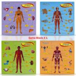 UKR – Body Puzzle
