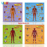 UKR – Body Puzzle