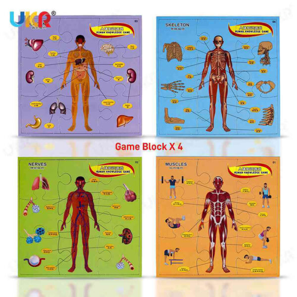 UKR – Body Puzzle