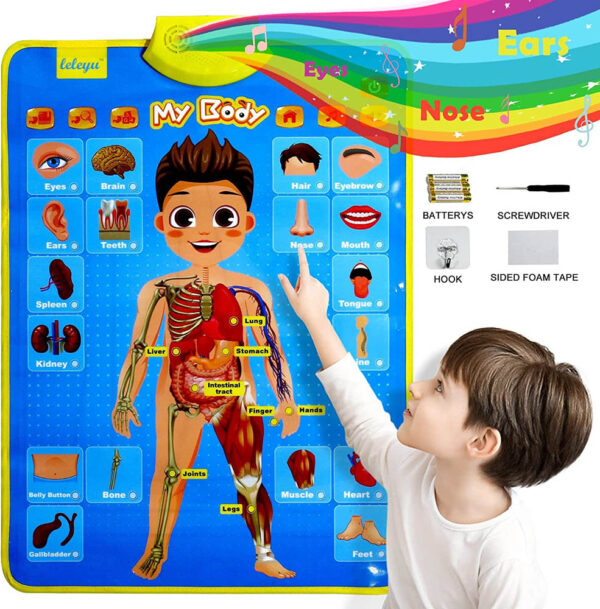 UKR – Talking Poster-My Body